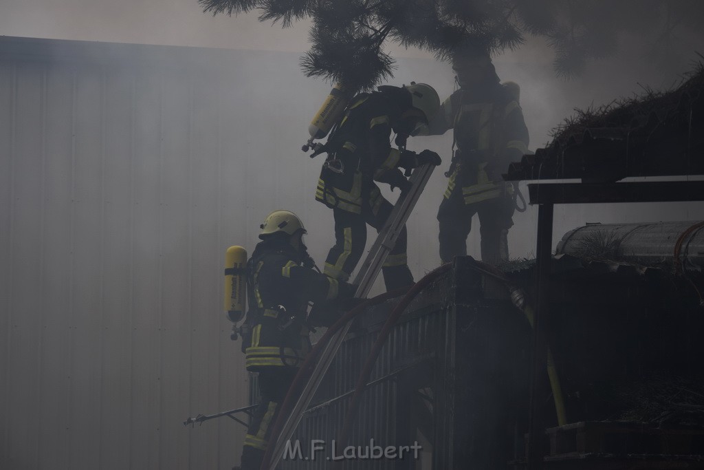 Feuer 3 Rheinkassel Feldkasseler Weg P1305.JPG - Miklos Laubert